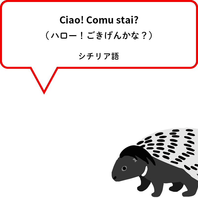 タテガミヤマアラシ