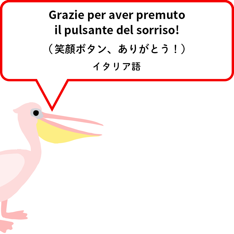 モモイロペリカン