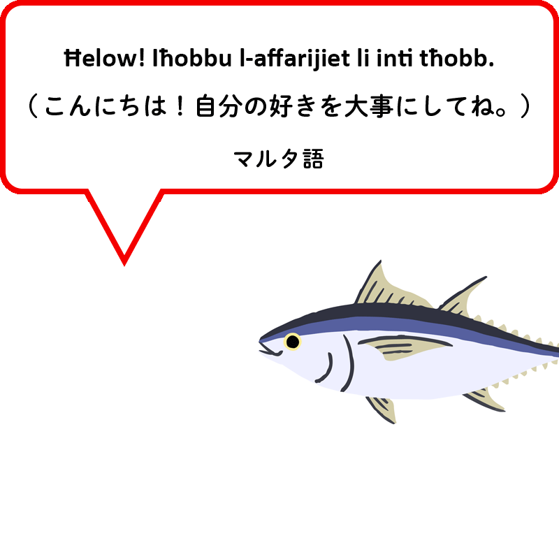 タイセイヨウクロマグロ