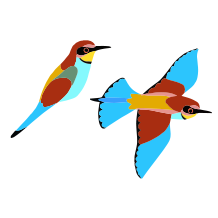 ヨーロッパハチクイ